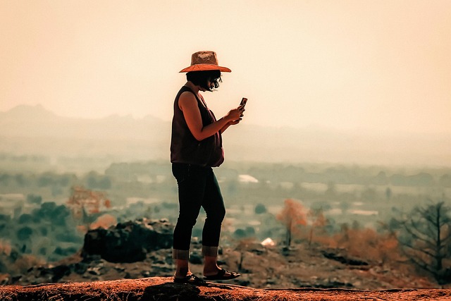 Private collection hangar with multiple rare aircraft in various states of restoration