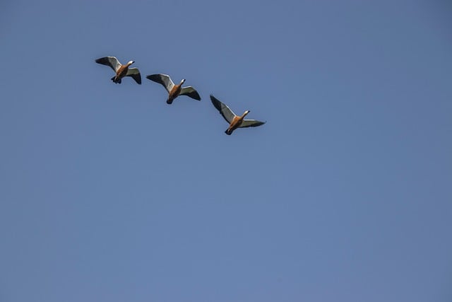 Abstract blue technology background representing data security