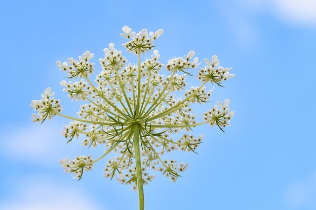 Abstract blue background representing digital terms and conditions